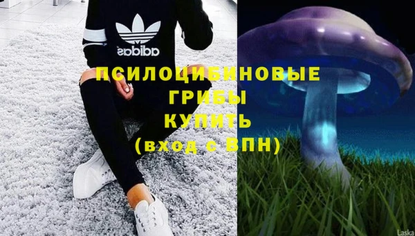 a pvp Бронницы