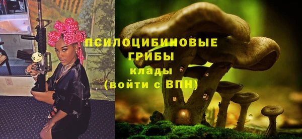 a pvp Бронницы