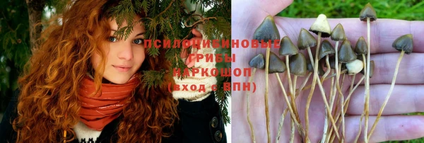 a pvp Бронницы