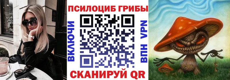 Псилоцибиновые грибы мицелий  Камызяк 