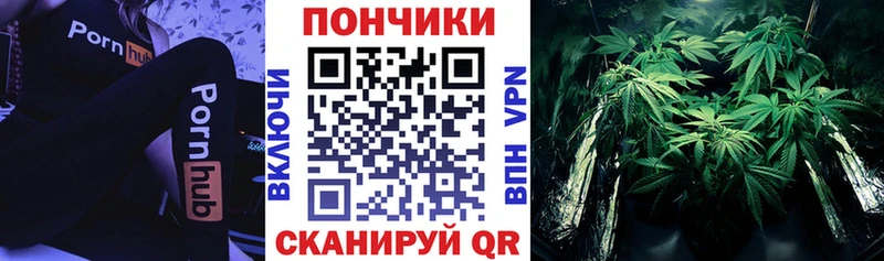 Канабис VHQ  магазин    Камызяк 